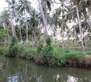 Flussfahrt vor dem Club Hotel Dolphin mit Haralds Boot