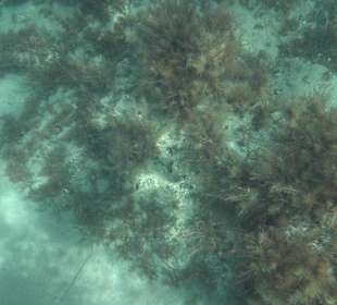 Glasbodenboot Tour Lindos