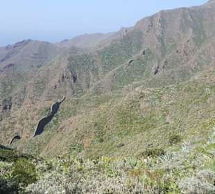 Mirador de Baracan in Buenavista del Norte