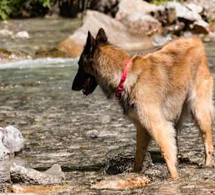 Wandern Ried im Zillertal