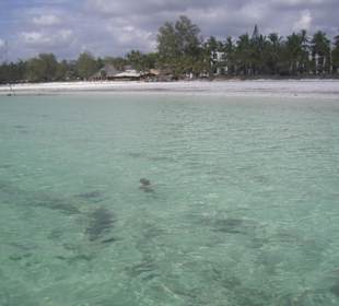 Ausflug Glasbodenboot Diani Beach