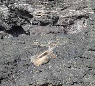 Leuchtturm Morro Jable