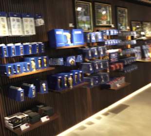 FIFA World Football Museum