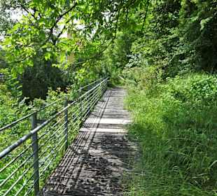 Impressionen aus dem Trostberger Rosengarten
