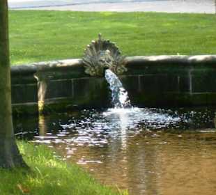 Schlosspark Sanssouci