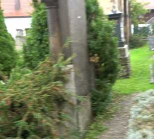 Alter Friedhof Inning am Ammersee
