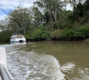 Lone Pine Koala Sanctuary