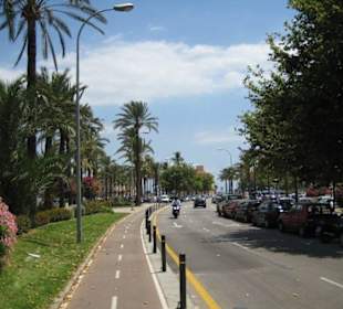 Fahrradweg von El Arenal bis Palma