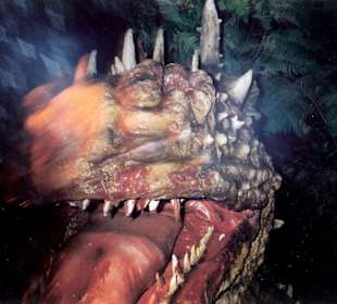 Ansichten aus dem Europapark in Rust