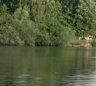 Baggersee Hirschau