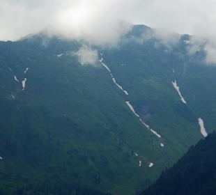 Der Plöckenpass 06-2011