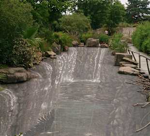 Safari Dvůr Králové nad Labem