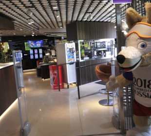 FIFA World Football Museum