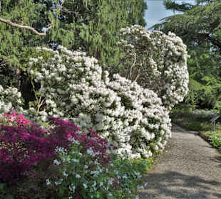 Eindrücke vom Rundgang durch den Berggarten