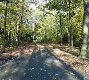 Spaziergang durch den Kurpark Wilhelmshaven