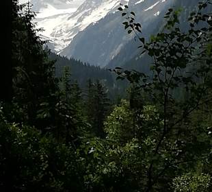 Großvenediger