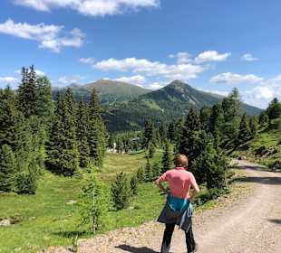Wandern Turracher Höhe