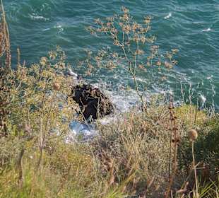 Przylądek Kaliakra - atrakcja niedaleko miasteczka