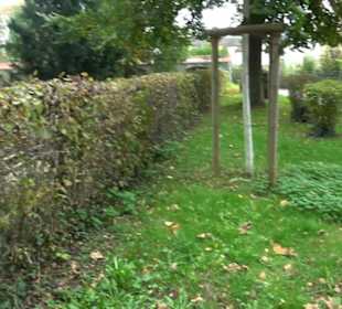 Alter Friedhof