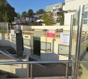 Das Seehundebecken des Aquariums