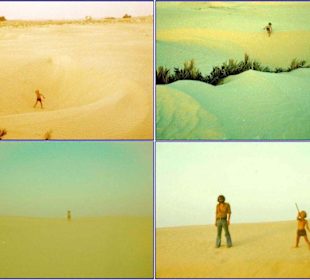 In der Wüste Sahara bei Douz