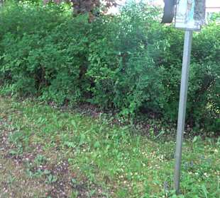 Gebetsgarten Heiligenbronn