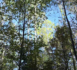 Kaiser- und Keltenrunde Stockach