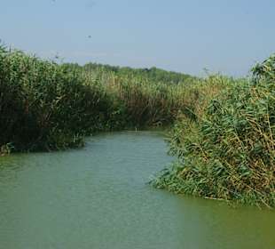 Naturschutz-Fluss