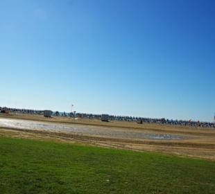 Lido dei Pini zum Meer hin