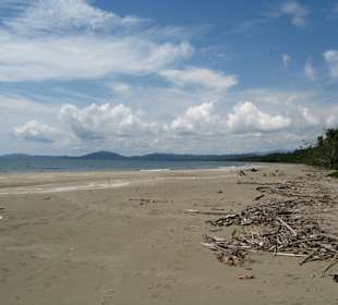 Karibik und Regenzeit 