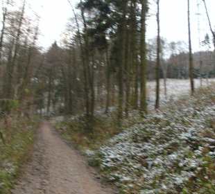 Winterliche Wanderung in NRW