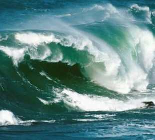 Wilder, ind. Ozean im Norden von Sri Lanka