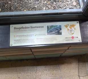 Regenwaldhaus