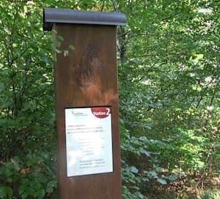 Bussen Schöpfungsweg Offingen