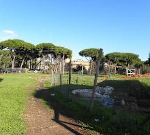 Ostia antica entrance