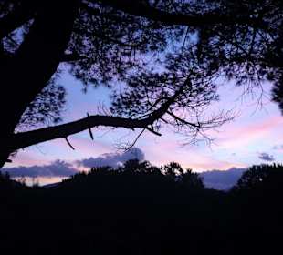 Landschaft Sardinien
