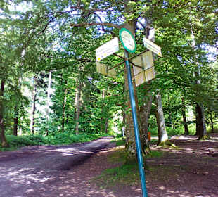 Breitenstein / Zwölfapostelstein Wingen-sur-Moder