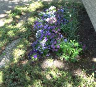 Historischer Rundgang Magolsheim