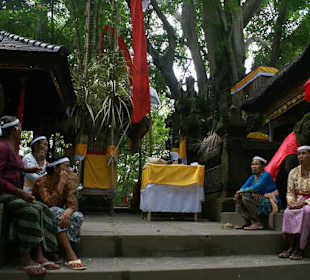 Jedna ze świątyń w małpim gaju