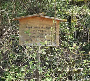 Waldlehrpfad an der Lauter