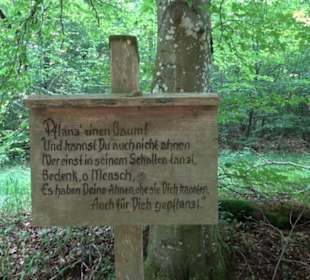 Waldlehrpfad St. Johann
