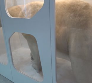 Staatliches Naturkunde Museum