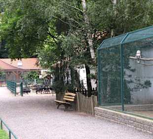 Saubere Wege und Gehege