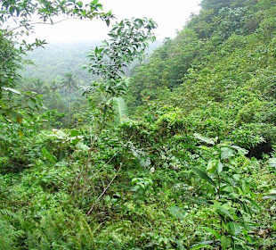 Trecking Tour   Osmena Peak  mit Planet Action