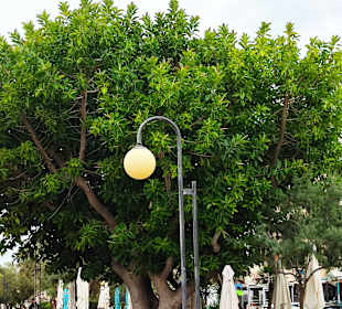 Strandpromenade Cala Millor