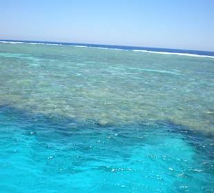 Ausflug zum Schnorcheln