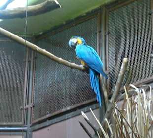 Zoo Brno