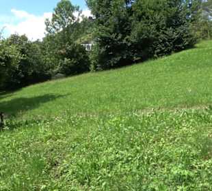 HAP Grieshaber Rundweg