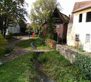 Bach von Brücke aus