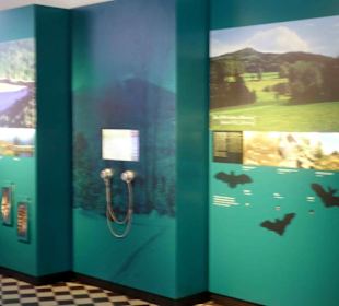 Artenvielfalt im Naturpark Bayerischer Wald